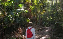 Durras Lake North Holiday Park - Accommodation Directory 7