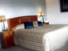 Saltbush Motor Inn - Accommodation Directory 4