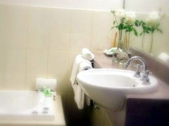 Saltbush Motor Inn - Accommodation Directory 5
