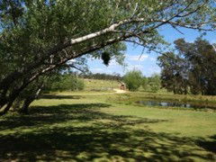 The Knoll Moruya - Accommodation Directory 4