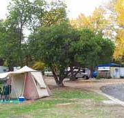 Wedderburn Pioneer Caravan Park - Accommodation Directory