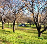 Wellington Caves Caravan Park - Accommodation Directory