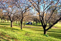 Wellington Caves Caravan Park - Accommodation Directory 0