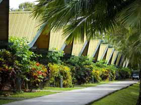 Hamilton Island Palm Bungalows - Accommodation Directory 1