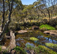 Junction Pools campground - Accommodation Directory