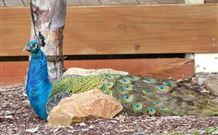 Lake Hume Tourist Park - Accommodation Directory 1