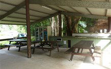 Mt Warning Rainforest Park - Accommodation Directory 4