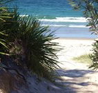 Myola Tourist Resort Caravan Park - Accommodation Directory