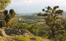 Widgee Murra - Accommodation Directory 6