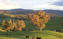 Widgee Murra - Accommodation Directory 7