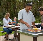 Port Stephens Treescape - Accommodation Directory