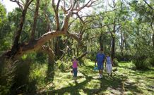 Port Stephens Treescape - Accommodation Directory 4