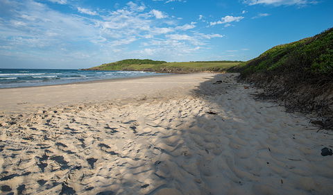 Racecourse Campground - Accommodation Directory 2