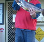 Rainbow Pines Tourist Caravan Park - Accommodation Directory