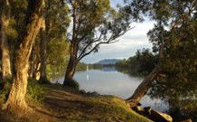 South West Rocks Tourist Park - South - Accommodation Directory 0