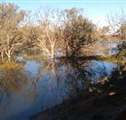 Warrawong on the Darling - Accommodation Directory