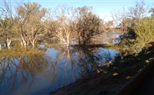 Warrawong On The Darling - Accommodation Directory 0
