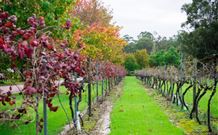 Peppers Convent Hunter Valley - Accommodation Directory 4