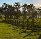 H Boutique Hotel - Pokolbin - Accommodation Directory