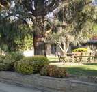 Hamilton Hume Motor Inn - Yass - Accommodation Directory