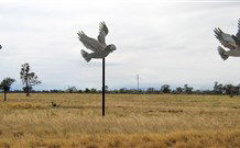 Gulargambone NSW Accommodation Directory