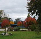 Holbrook Settlers Motel - Holbrook - Accommodation Directory