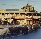 The Commercial Hotel Coonamble - Coonamble - Accommodation Directory