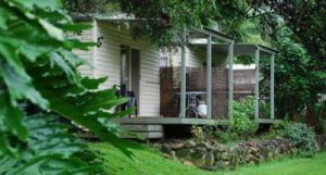 Mt Warning Rainforest Park - Accommodation Directory 6