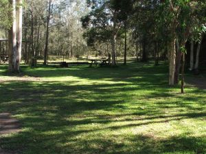 Jervis Bay Cabins And Hidden Creek Real Camping - Accommodation Directory 6