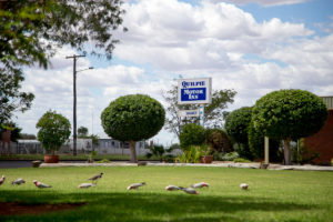 Quilpie Motor Inn - Accommodation Directory 4
