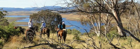 Reynella Homestead And Horseback Rides - Accommodation Directory 3