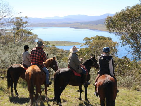 Reynella Homestead And Horseback Rides - Accommodation Directory 0