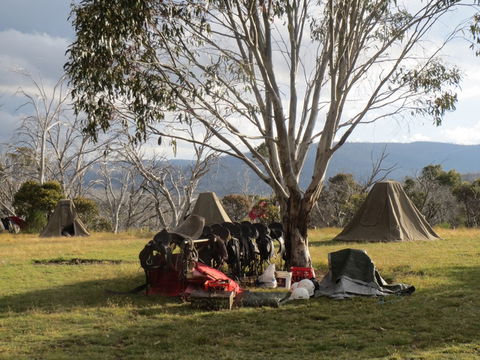 Reynella Homestead And Horseback Rides - Accommodation Directory 1