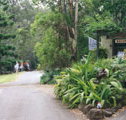Tamborine Mountain Caravan  Camping - Accommodation Directory