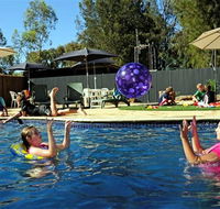 Kingston On Murray Caravan Park - Accommodation Directory