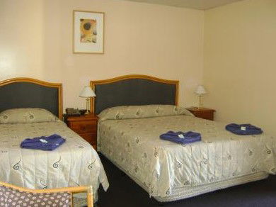Mudgee Motor Inn - Accommodation Directory 0