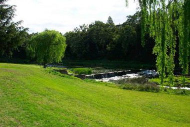 Sapphire City Motor Inn - Accommodation Directory 2