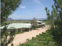 Mudgee Vineyard Motor Inn - Accommodation Directory 1