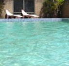Toreador Motel - Coffs Harbour - Accommodation Directory