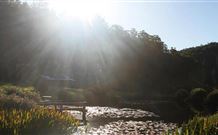 Blair Athol Estate - Accommodation Directory 0