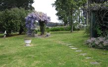 Honeycomb Valley And Cape Able - Accommodation Directory 7