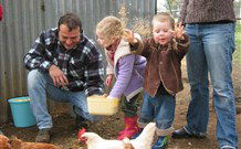 Linga Longa Farm Wingham - Accommodation Directory 0