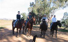 Linga Longa Farm Wingham - Accommodation Directory 1