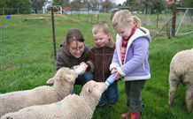 Linga Longa Farm Wingham - Accommodation Directory 2