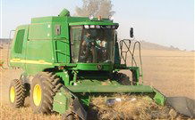 Linga Longa Farm Wingham - Accommodation Directory 4
