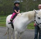 Mansfield Cottage Barrington Tops Accommodation - Accommodation Directory