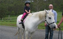 Mansfield Cottage Barrington Tops Accommodation - Accommodation Directory 0