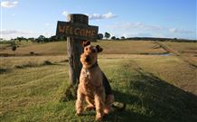 Rocky Mountains - Accommodation Directory 7