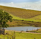 Sanctuary Hill Retreat - Accommodation Directory