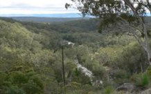 Wildwood Guesthouse - Accommodation Directory 1